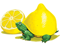 lemon-turtle.png